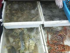 -拉威海鲜市场