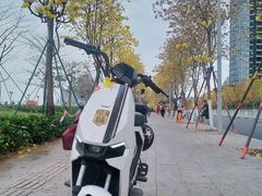 -洲头咀公园