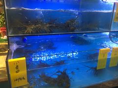 水产区-星龙海鲜(望江东路店)