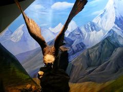 -陕西自然博物馆