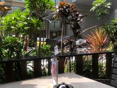 -THE WOODS 简餐 (国贸商城店)