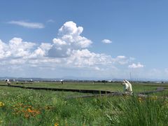 -敕勒川草原
