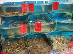 -四海蒸鲜蒸汽海鲜自助(北戴河店)