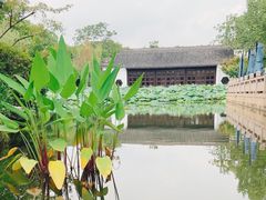 -杭州西子湖四季酒店·金沙厅