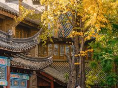 -龙潭水乡