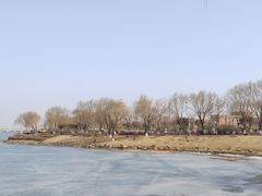 -丁香湖公园