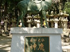 -奈良公园