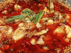 -胖子鱼·天水麻辣鱼火锅(秦州407店)