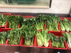 蔬菜-湛江渔港·大排档(乐园路总店)