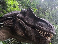 -古龙峡云天玻霸