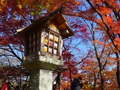 -常寂光寺
