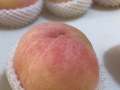 -老袁家蜜桃农场·阳山水蜜桃