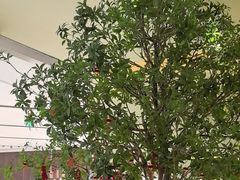 -静耳元気采耳·按摩·SPA(万象前海店)