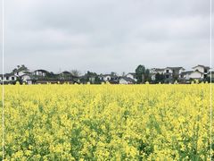 -桤木河湿地公园