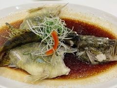 -御彩酒家(东风东路店)