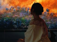 -罗红摄影艺术馆