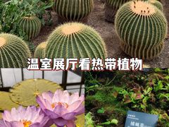-国家植物园