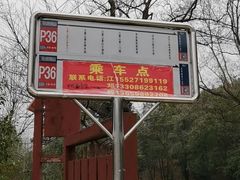 -木兰云雾山