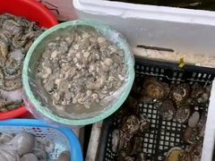 -厦门第七菜市场