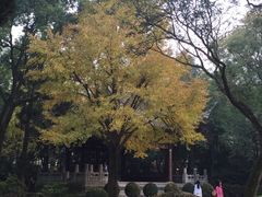 -汇龙潭