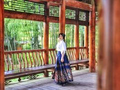 -紫鹊界梯田景区