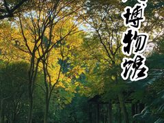 -中国丝绸博物馆