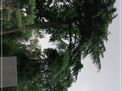 -莲湖公园