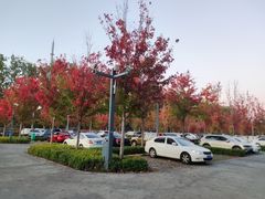 -东郊湿地公园