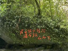 -桂林古东瀑布景区