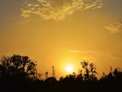 -白鹭湾湿地公园