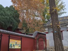 -泰山风景名胜区-普照寺