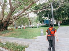 -四海公园(南山区)