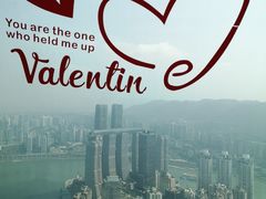 -WFC会仙楼观景台