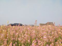 -中国天府农业博览园