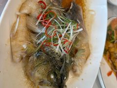 清蒸白水鱼-状元楼(金溪路店)