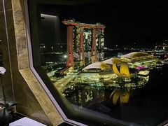 -新加坡丽思卡尔顿美年酒店