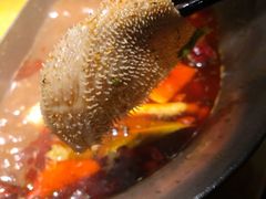 毛肚-湊湊火锅·茶憩(东城万达店)