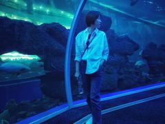 -成都浩海立方海洋公园