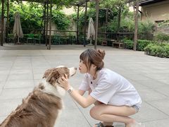 -嘉善老市
