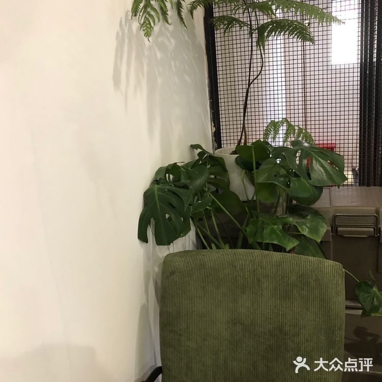 上海 ｜ 精致· 日本风