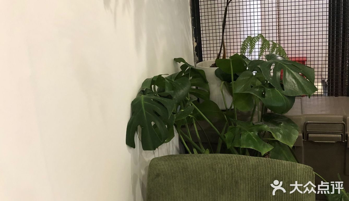 上海 ｜ 精致· 日本风