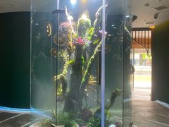 -泰悠谷养生SPA(世茂商业街店)