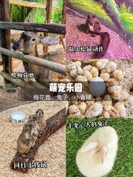 -欢乐舟·舟舟玩乐园
