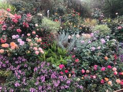 -人民公园(罗湖区)