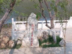 -桃花堤公园