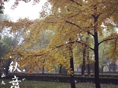-山东大学(趵突泉校区)
