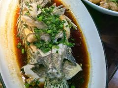 广式桂鱼-老馆子·建德菜·山肴鱼鲜(海威新界店)