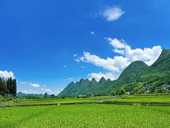 -万峰林风景区