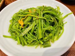 清炒水性杨花-老滇山寨•云南特色菜•地方菜•民族风情歌舞表演(金碧店)