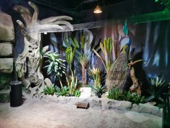 -酷嗒动物文化乐园(cutezoo西溪乐天城店)